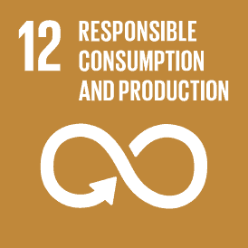 RESPONSIBLE CONSUMPTION AND PRODUCTION